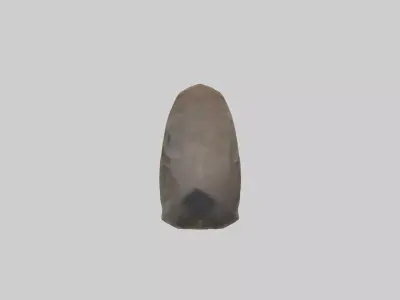 Sparrow Beak 3D model