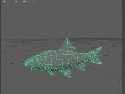 Carp fish Low-poly 3D model