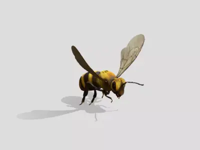 Free High quality rigged bee Free low-poly 3D model