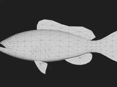 Bass fish Low-poly 3D model 6