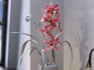 Pink Orchid Branch 3D model
