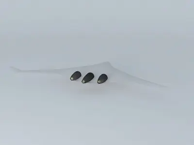 Boeing BWB Free 3D model