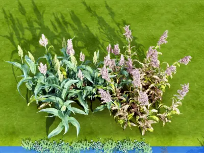 Plant sorghum flowers Modern monomer 3D model
