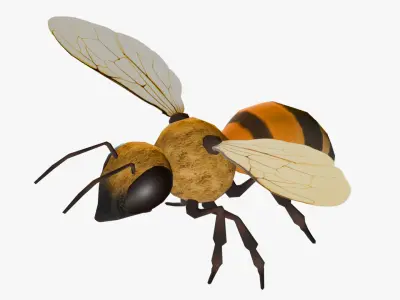 Animated Bee Low-poly 3D model purchase