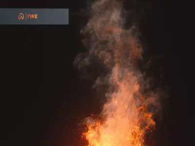 3D Fire Animation  3D model