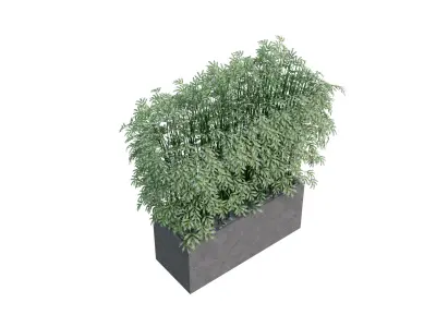 3D Bamboo Plant Model Realistic Potted Indoor Decoration Free low-poly 3D model