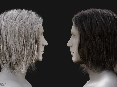 Real Time Hair Card Male Hairstyle part 12 Low-poly 3D model
