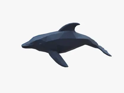 Dolphin low poly Low-poly 3D model purchase