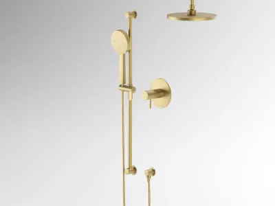 Thermostatic and  Pressure Balance Shower System with up to two 3D model