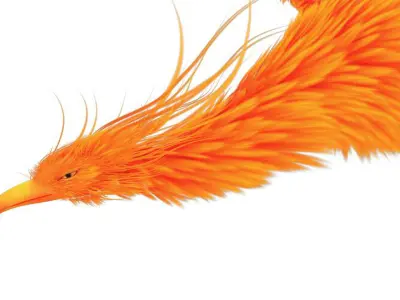Phoenix 3D model buy