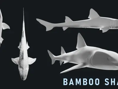 Low-Poly Shark Mesh Collection Low-poly 3D model