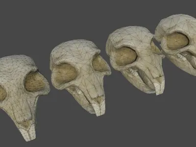 Rat Skull Low-poly 3D model