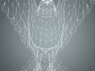 Bird Eagle with animation Low-poly 3D model