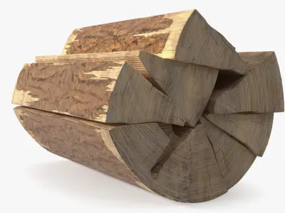 Survival Match Igniting Wood Curl and Timber 3D model