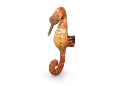 sea horse Low-poly 3D model purchase