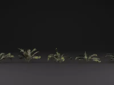 Fern Plant 3D model