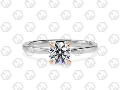 Ring 159 Round shape with hidden signature diamond both side 3D print model