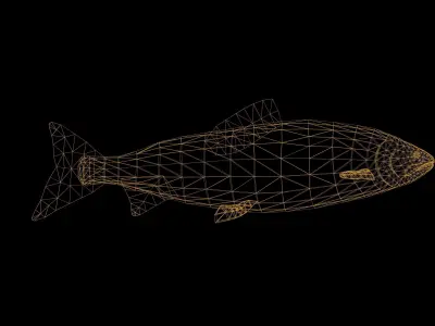 Salmon Fish with Swimming Animation Low-poly 3D model