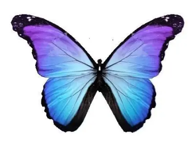 Animated lowpoly butterfly used in film Free low-poly 3D model
