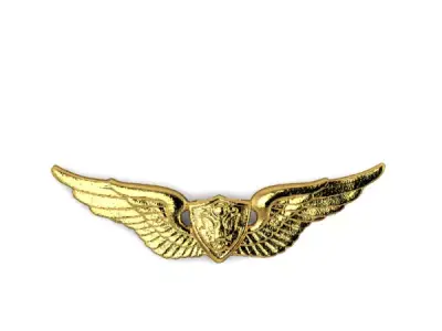 Army Aviation Aircraft Crewman Badge Miniature 3D print model