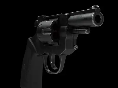 Revolver 3D model 21