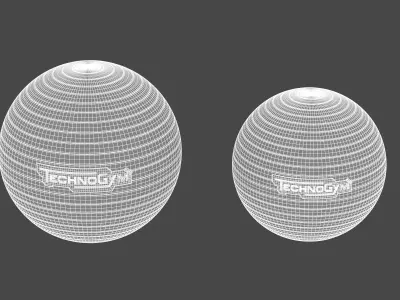 Technogym Accessories Wellness Ball Training 3D model