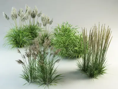  grass collection_1 