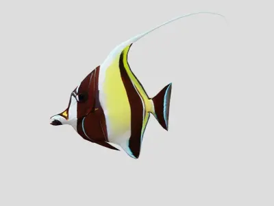 Moorish Idol Realistic Animated Low-poly 3D model