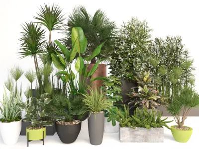Plants 19 3D model