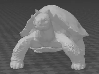 Carbonemys tortoise 3D print model