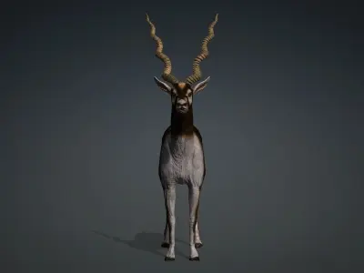 antilope 3d animal with motion Free 3D model