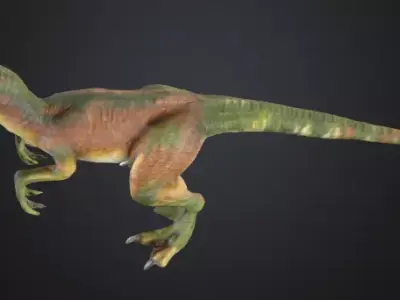 Realistic Velociraptor 3D Model Low-poly 3D model