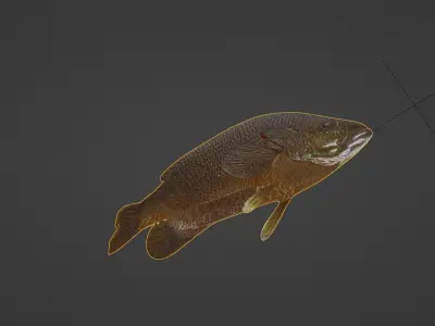 Sunfish Low Poly 3D model with Blender FREE Free 3D model
