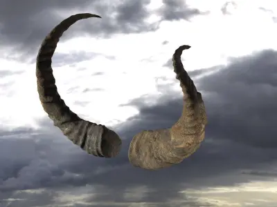 Dragon Horns 3D 3D model