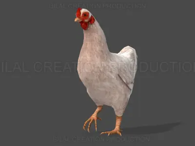 White Hen chicken Animated Low-poly 3D model