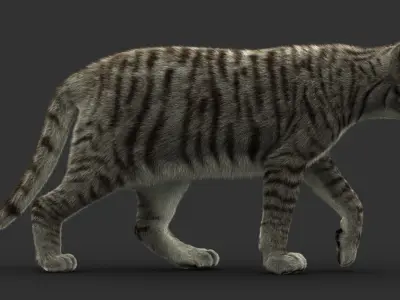 Cat (2) (Mackerel Tabby) (FUR) 3D model