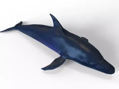 Dolphin game ready Low-poly 3D model