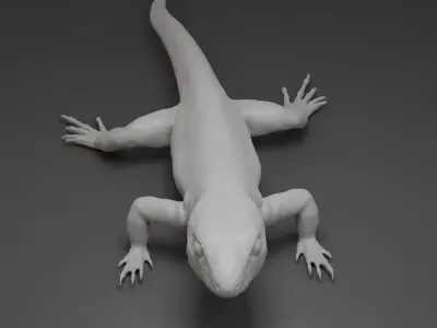 Lizard Sculpt 3D model