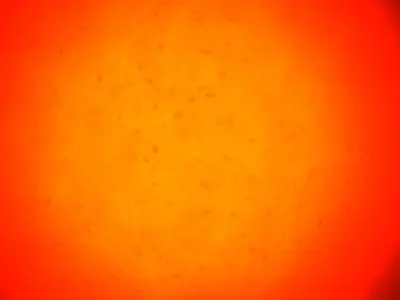 Lively sun 3D model