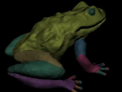 FROG model Low-poly 3D model