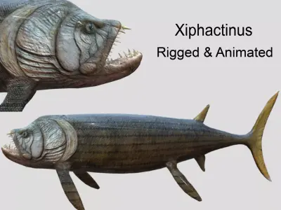 Xiphactinus Low-poly 3D model