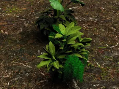 Plants 3D 3D model