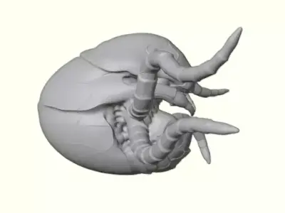 Glacier Shell Crawler Free 3D print model