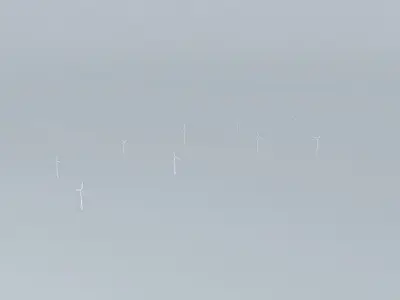 Woolnorth Wind Farm 3 Free 3D model