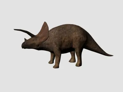 Rigged Animated Low Poly Triceratops Dinosaur Low-poly 3D model