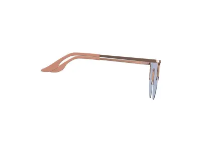 Sky Tint Sunglasses 3D model