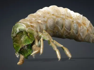 Larval-V1a 3D model