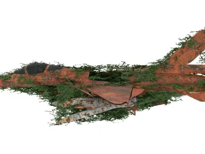 Damaged Rusted Jet 3D model