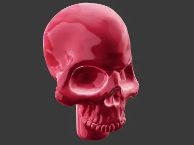skull Free 3D print model