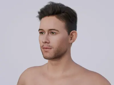 Nick Jonas - American Singer - Classic Side Part Hair Low-poly 3D model